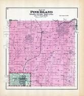 Pine Island Township, Mazeppa, Lena, Zumbrota, Goodhue County 1894